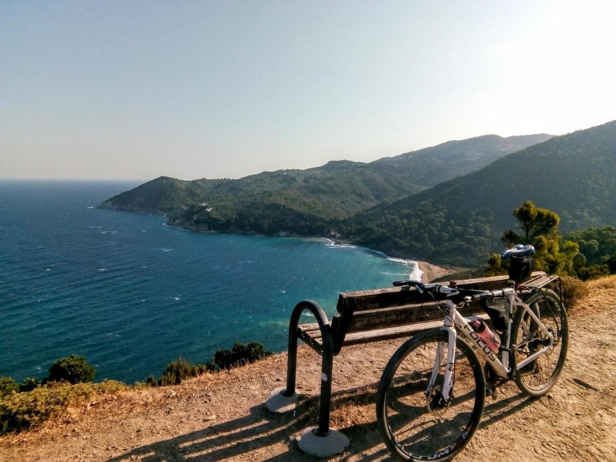 Skiathos Lagoterra Apartments Екстериор снимка