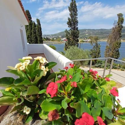 Skiathos Lagoterra Apartments Екстериор снимка